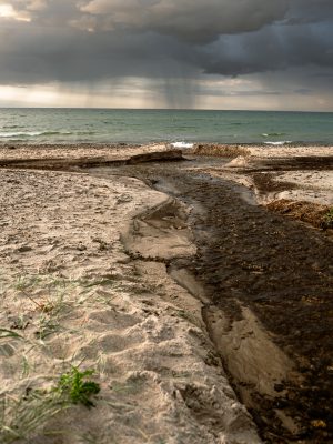 Nordstranden_vildtvejr